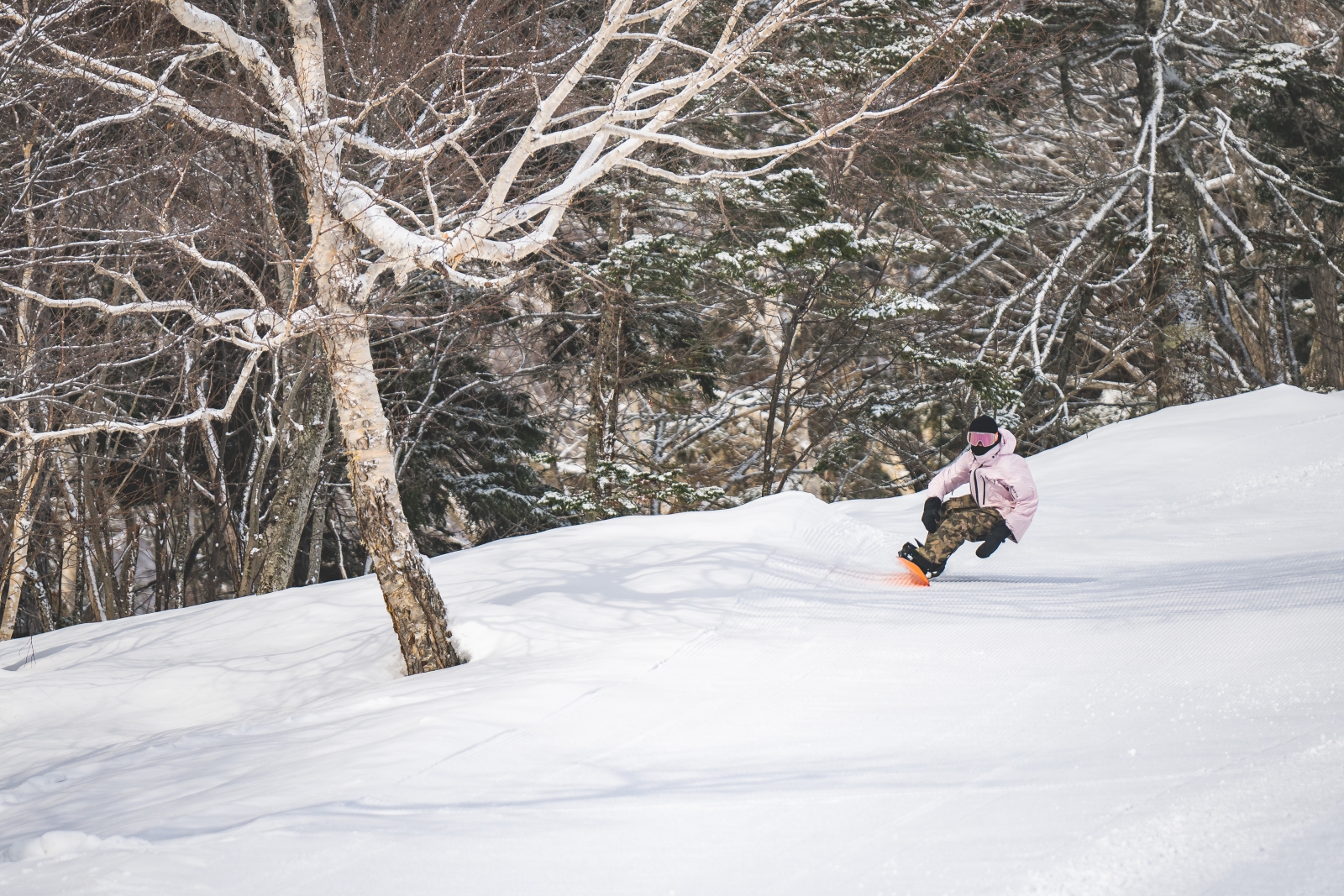 DaisukeNogami_BacksideTurn