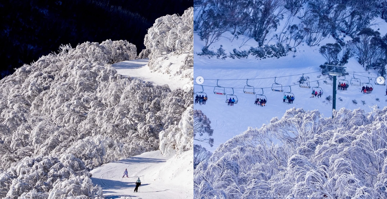 日本は記録的猛暑で、オーストラリアは記録的積雪。マウントホッサムは